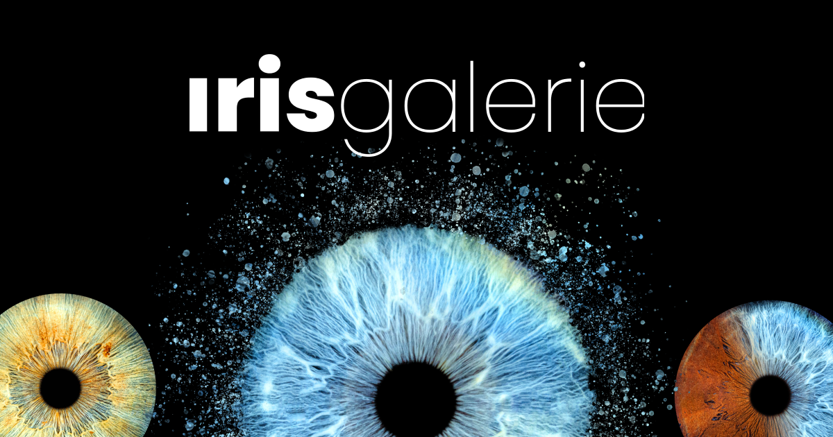 Notre Concept Iris Galerie notre-concept-iris-galerie
