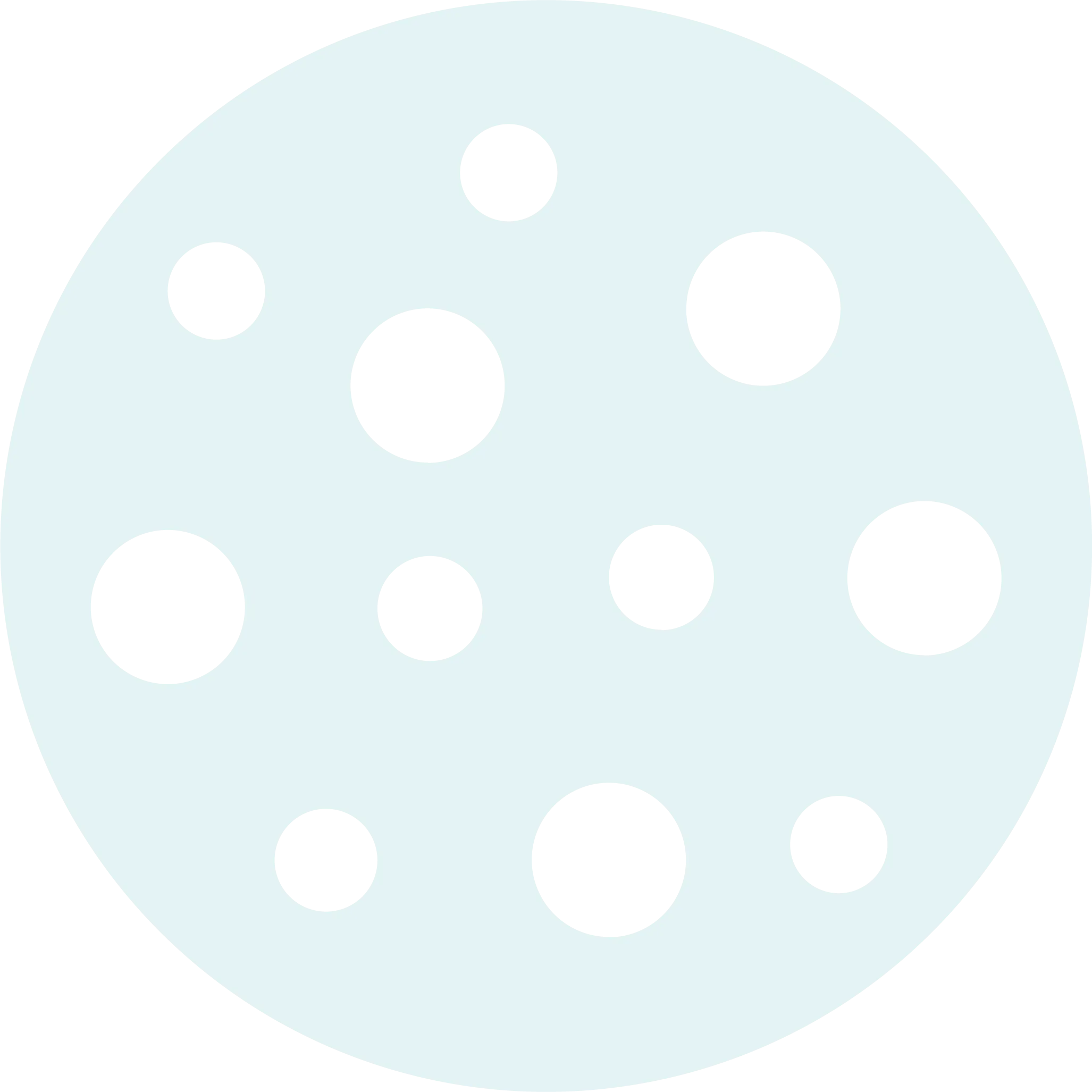 icono de galleta
