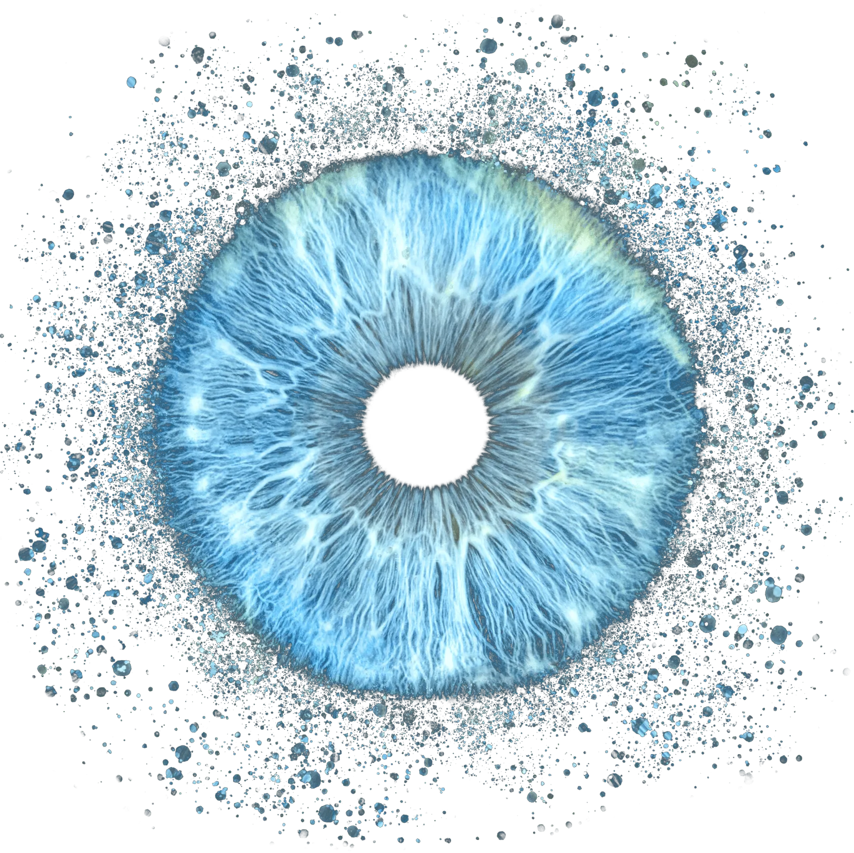 iris blu