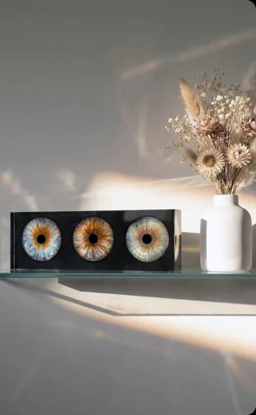 Triptyque de trois photographies d'iris sur une étagère