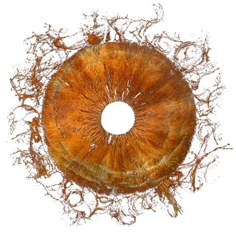 brown iris